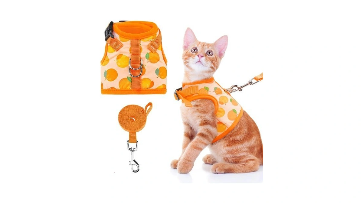 Bingpet Cat Harness And Leash Set, Escape Proof And Adjustable,
