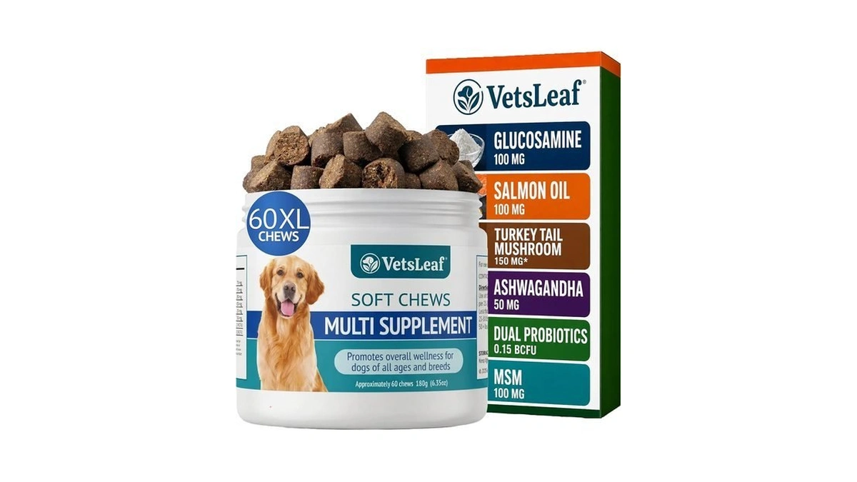 Vetsleaf Dog Multivitamin Chews - Glucosamine, Probiotics, Salmon Oil, Mushroom
