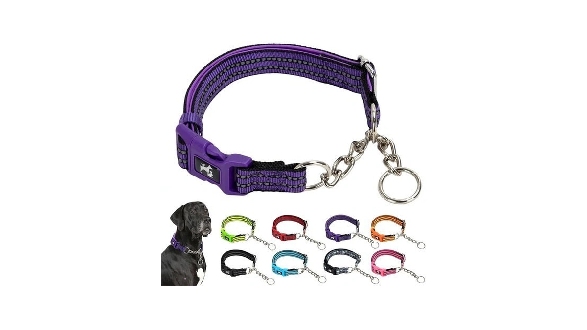 Maowuwujoa Martingale Collar For Dogs Reflective Nylon Dog Collar With