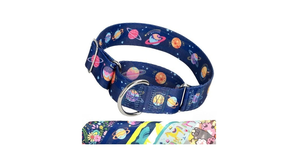 Thick Martingale Collar For Medium Dogs,blue Space No Pull Dog