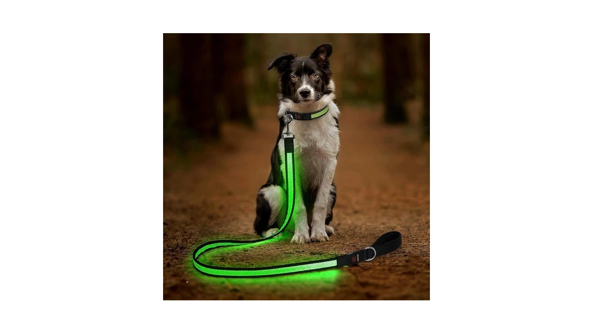 Candofly 4 Ft Led Dog Leash, Usb Rechargeable Light Up