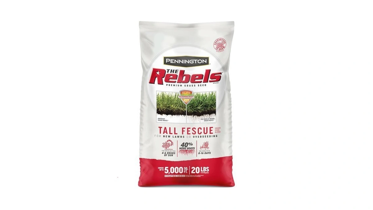 Pennington The Rebels Tall Fescue Grass Seeds For Lawn, 20