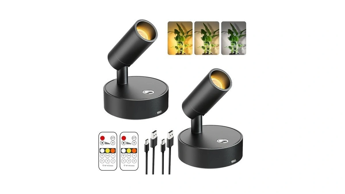 Olafus 2 Pack Led Wireless Spotlight Indoor With Timer/remote, Black