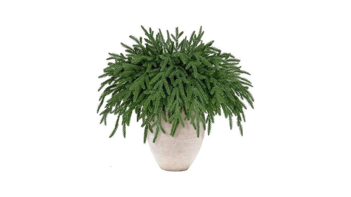 Yoochenkin 12 Pcs 18" Real Touch Norfolk Pine Christmas Stems