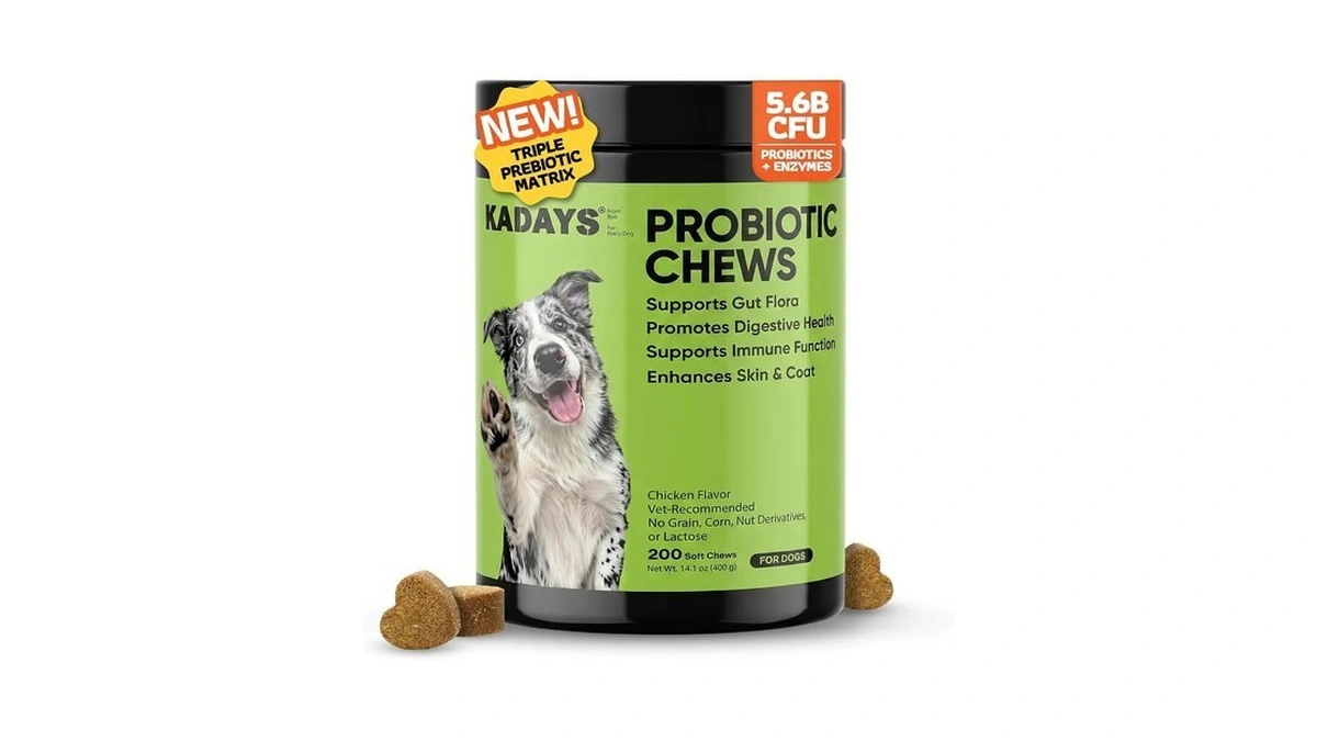 Probiotics For Dogs Digestive Health & Gut Flora Balance Diarrhea