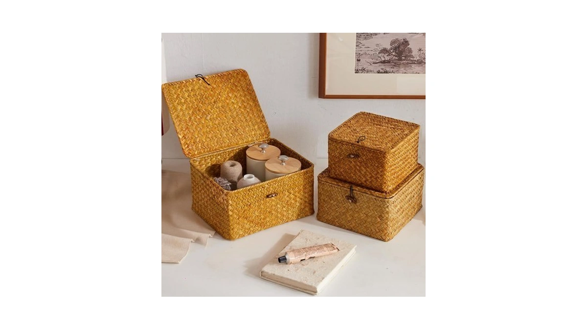 Eugrovanth Wicker Storage Box With Lid, Handwoven Baskets For Storage,