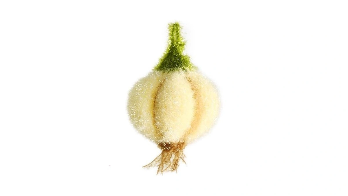 Amazon : Garlic-shaped Dish Towels For Washing Di