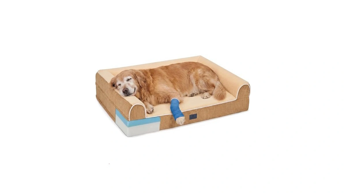 Veehoo Orthopedic Dog Beds Large Sized Dog, Extra Thick Supportive