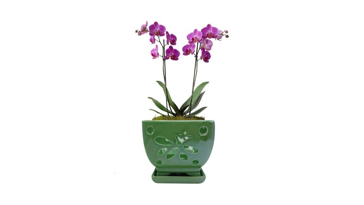 Orchid Pots With Holes Ceramic Orchid Planter Pots Square 5.5
