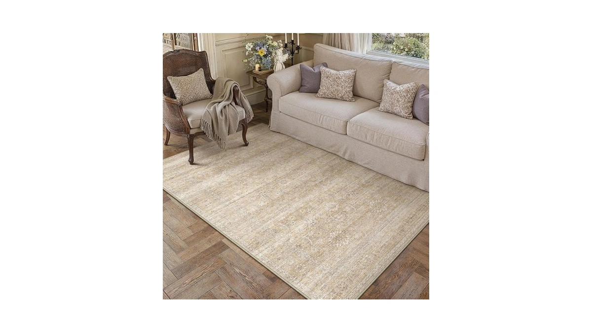 Hugear 4x6 Neutral Beige Area Rug