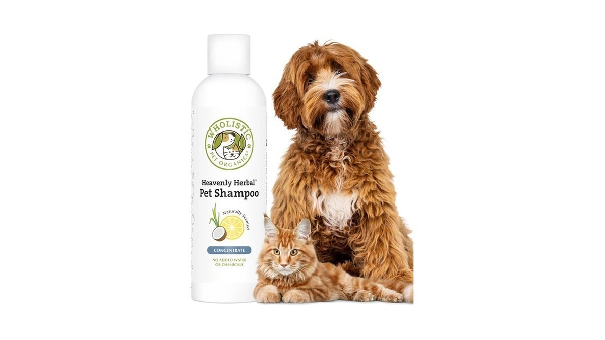 Organic Cat And Dog Shampoo For Sensitive Skin And Coat