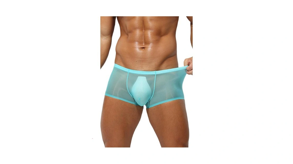 Seaur Men's Boxer Briefs Ice Silk Sheer Ultra-thin Panties Mesh