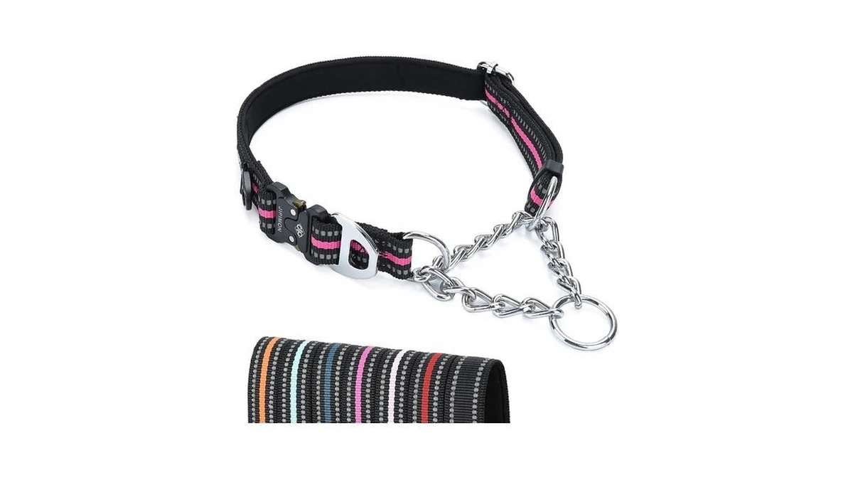 Jipimon Martingale Collar For Dogs With Stainless Steel Chain(large,purple)