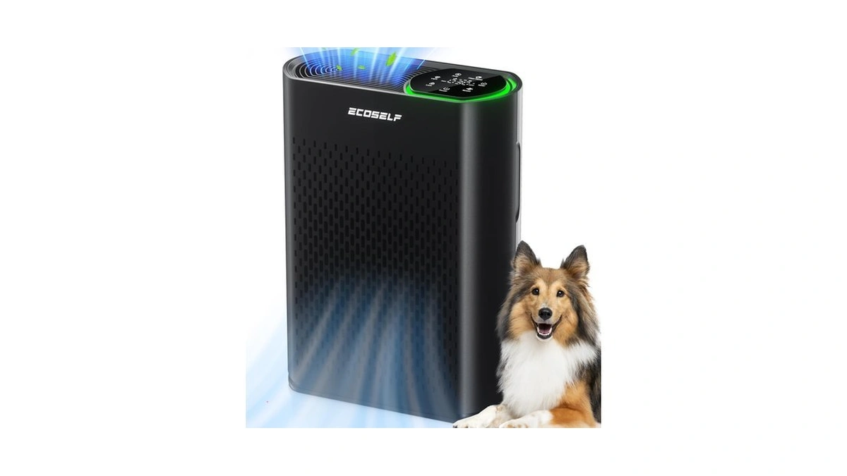 Air Purifier For Large Room, Cleans 2,400 Ft² In 30