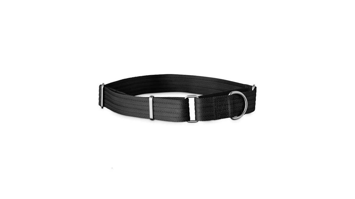Everyyay By Petco Martingale Dog Collar Black Large
