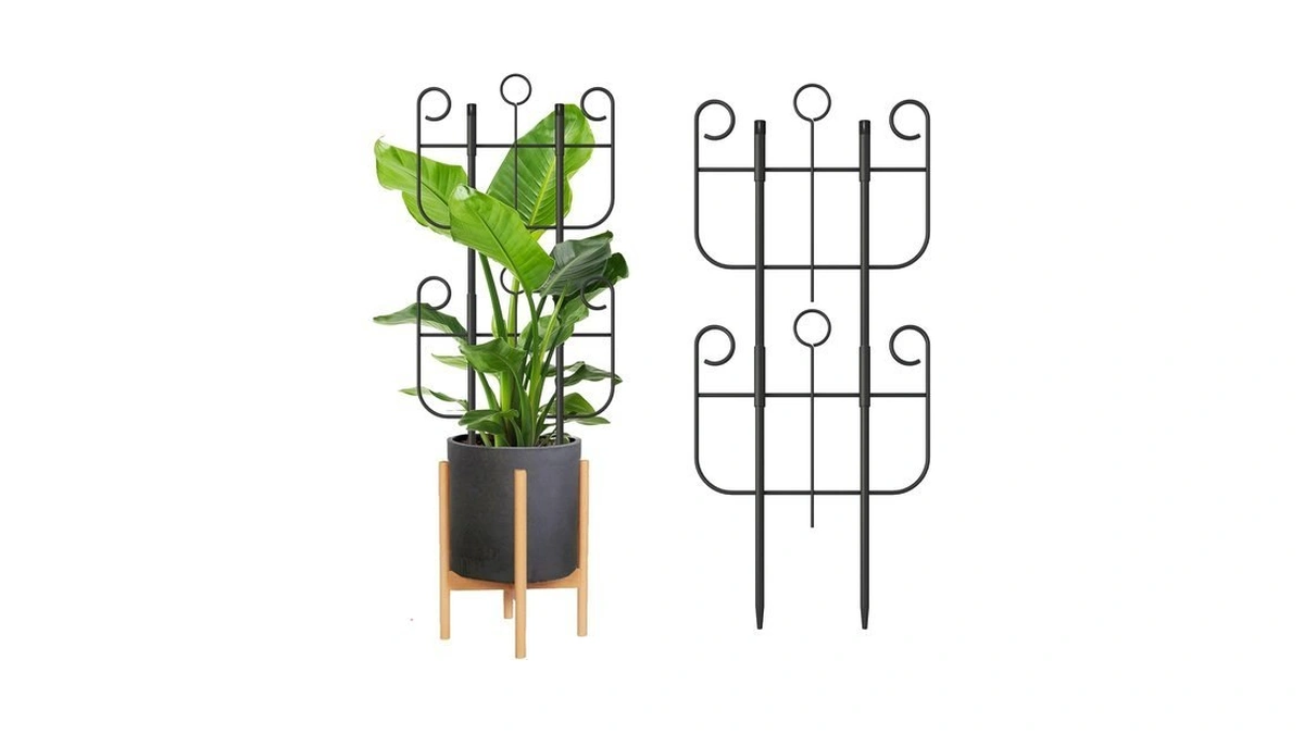 2 Pack Trellis For Climbing Plants Indoor, Expandable Heavy-duty Metal