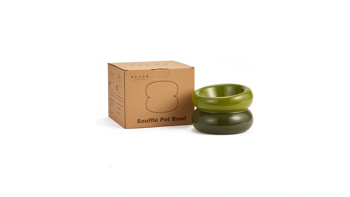 Bicopet Elevated Cat Water Bowls Raised Small Ceramic Dog Bowl,non-slip