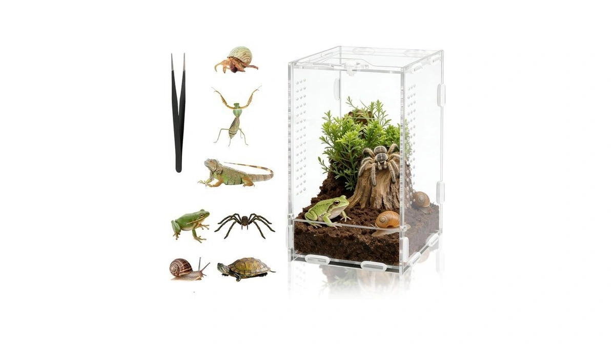 Darenyi 7.8"x4.7"x4.3" Jumping Spider Enclosure With Front Door