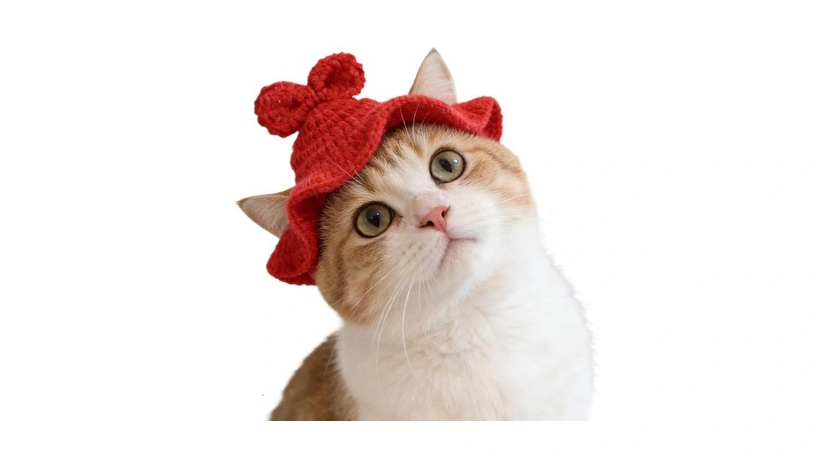 Bow Cat Hat, Cotton & Soft Cute Knitted Hats For