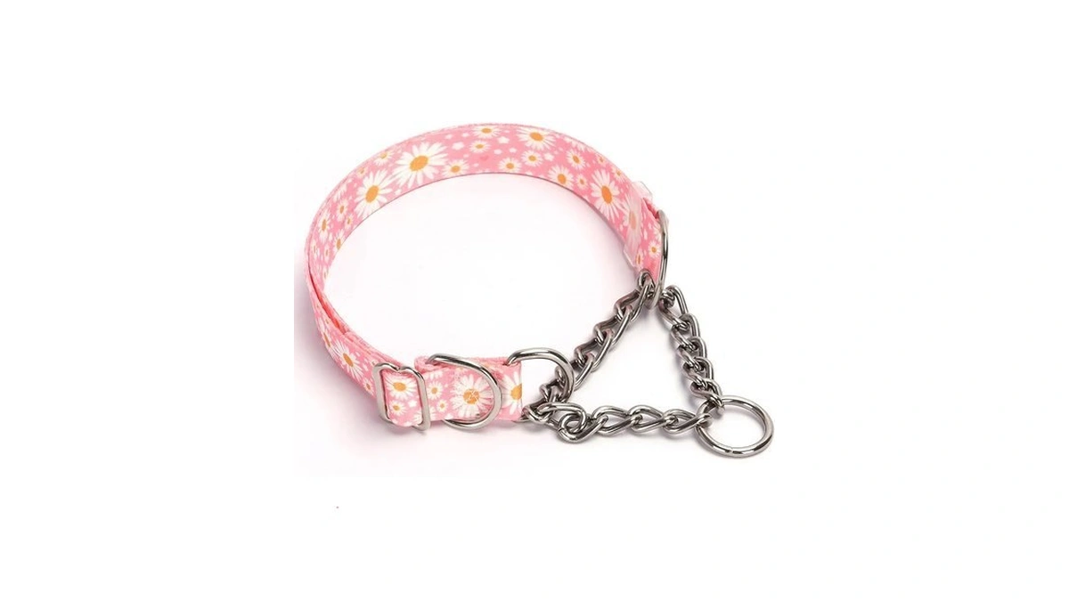 Chain Martingale Dog Collar,choke Collar Training Escape Proof Pink Daisy
