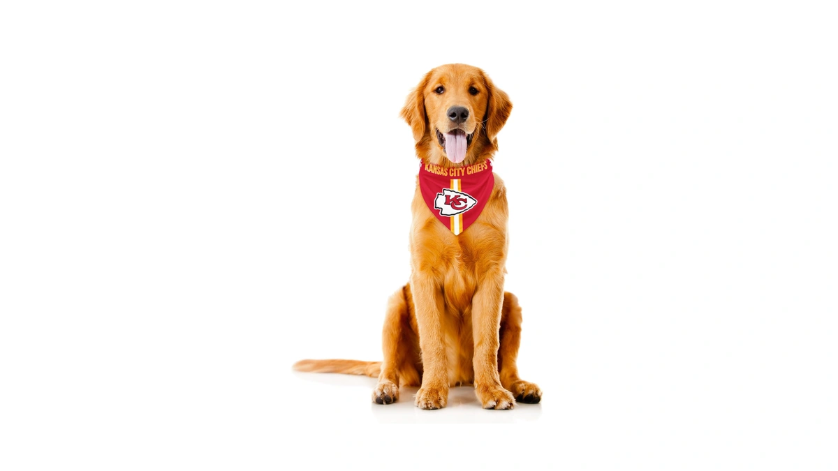 Littlearth Nfl Kansas City Chiefs Pet Bandana, Team Color, Large
