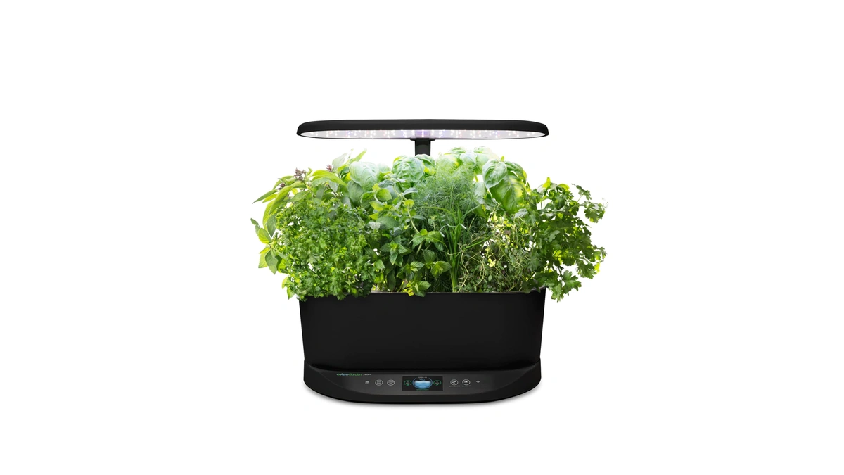 Aerogarden Bounty, Black