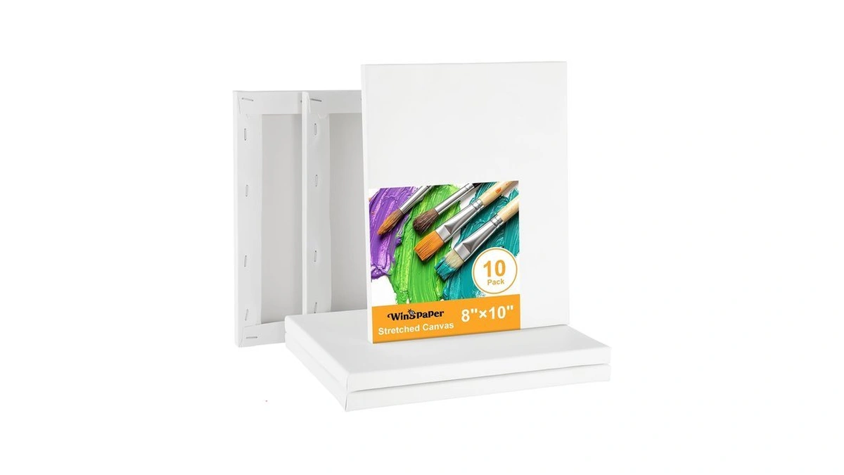 Wingpaper 10 Pack Stretched Canvases For Painting 8x10, Painting Canvas