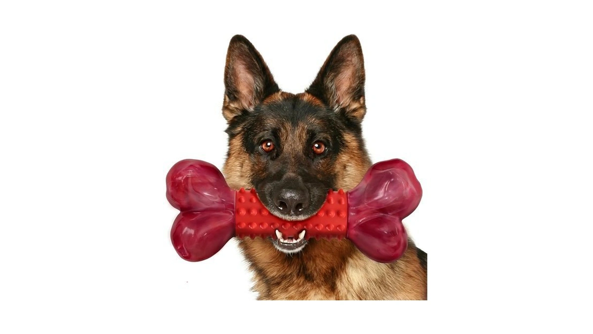 Apasiri Tough Dog Toys For Aggressive Chewers: Beef Flavored Long