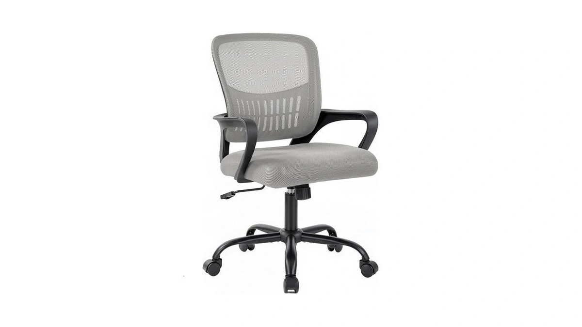 Dumos Home Office Chair, Ergonomic Lumbar Support Desk Chair