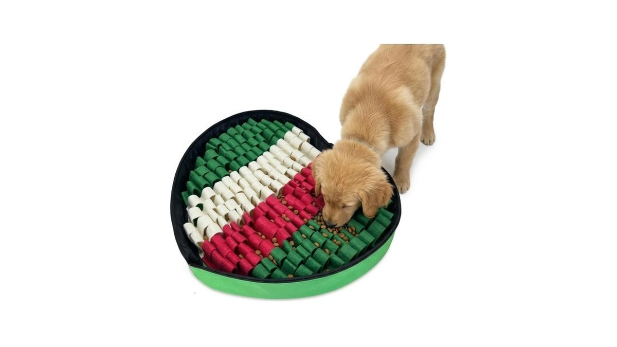 Carecooo Heart Shaped Dog Snuffle Mat, 20 X 20 Inch