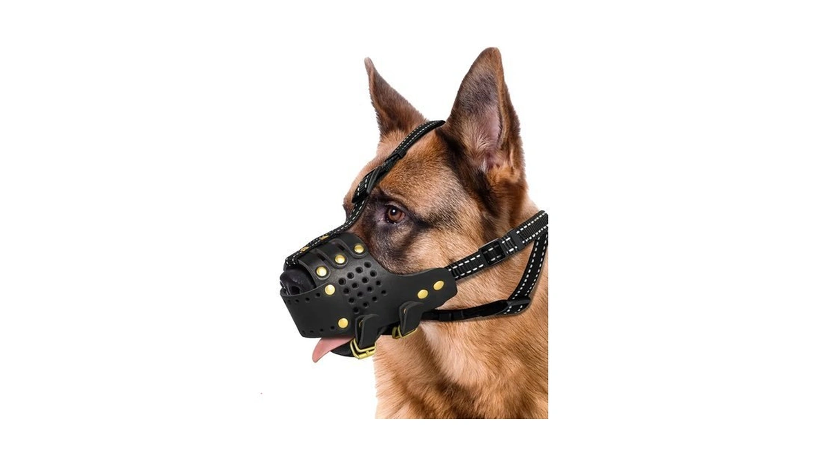 Midog Leather Dog Muzzle For Medium Dogs, Breathable & Adjustable,