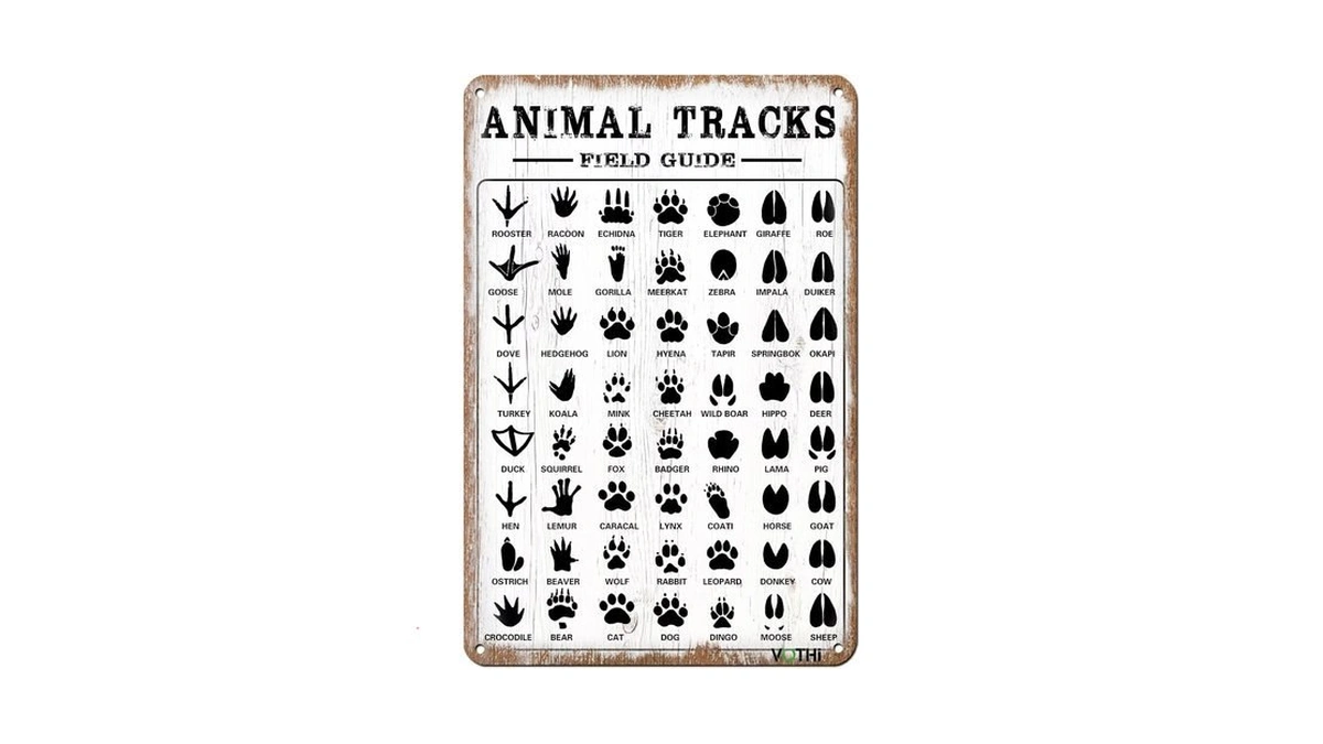 Vothi Funny Retro Metal Tin Sign,animal Tracks Field Guide,12x8 Inch