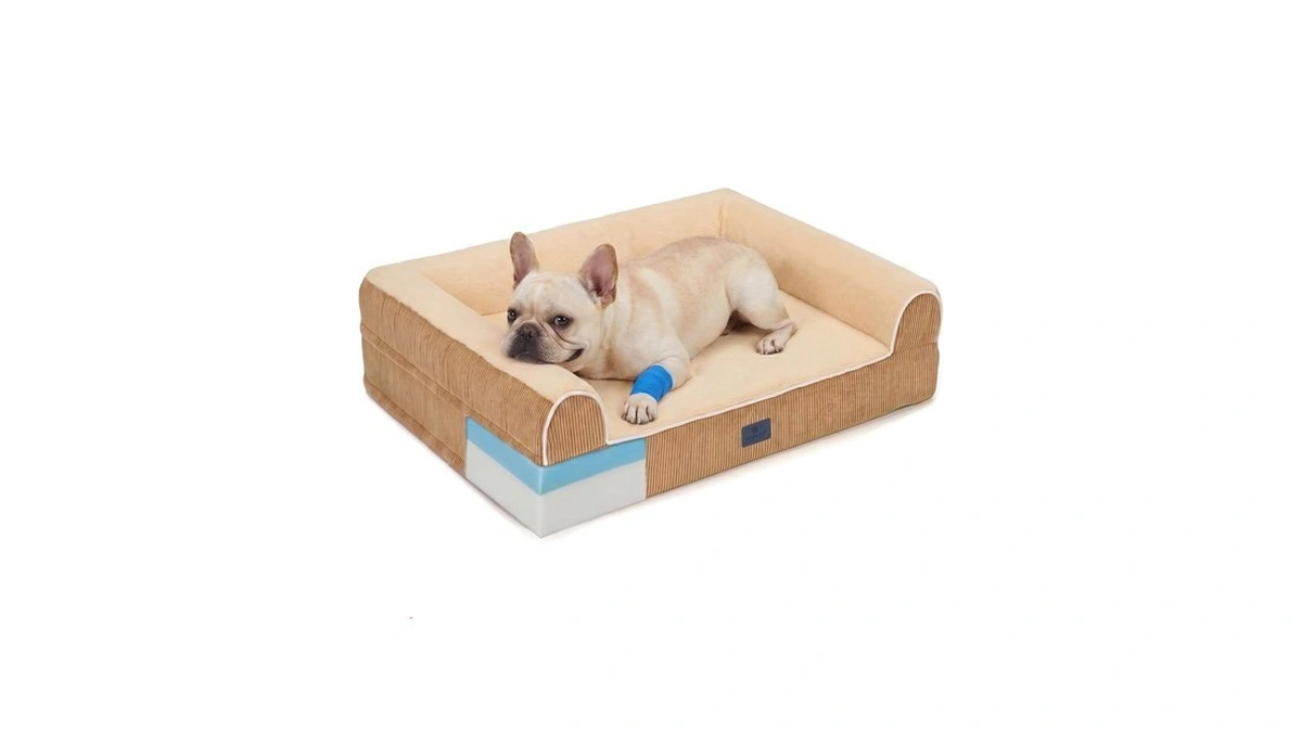Veehoo Orthopedic Dog Bed For Medium Size Dogs, 5" Extra