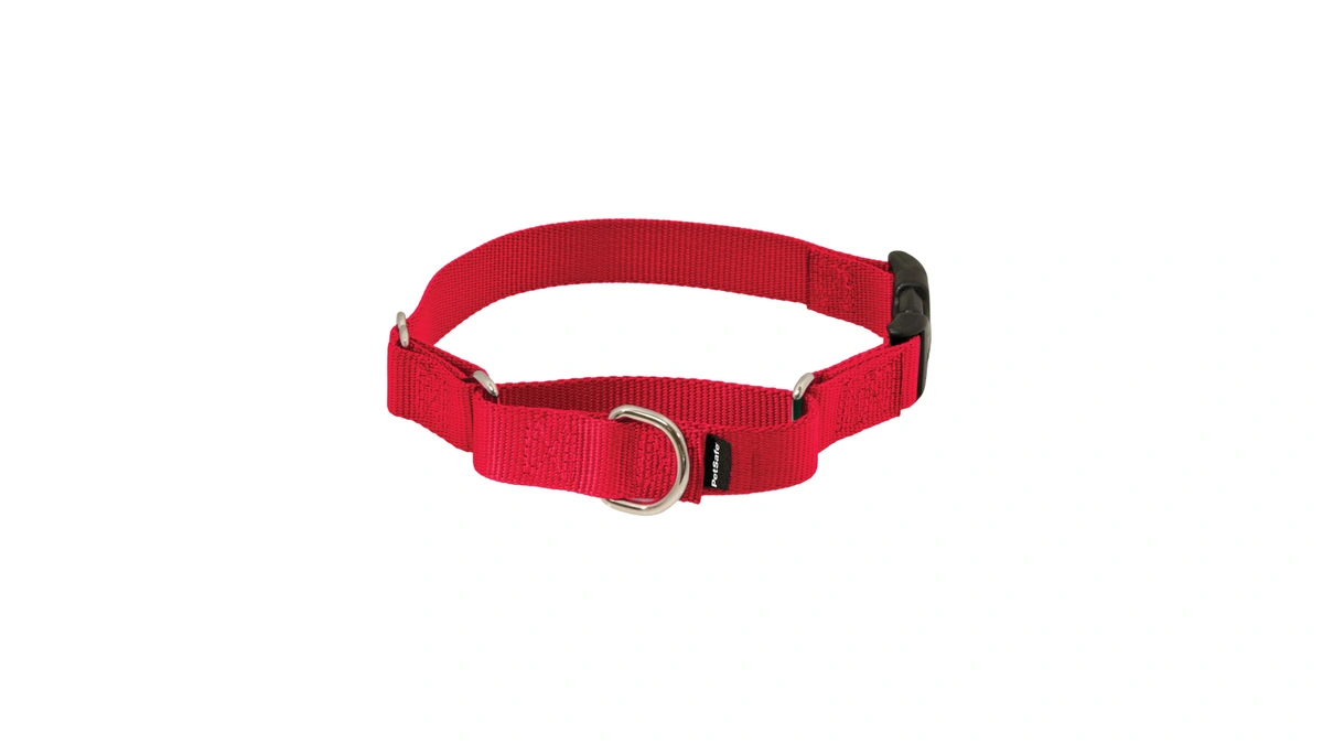Petsafe Martingale Quick-snap Dog Collar, Red, 3/8 In, Petite