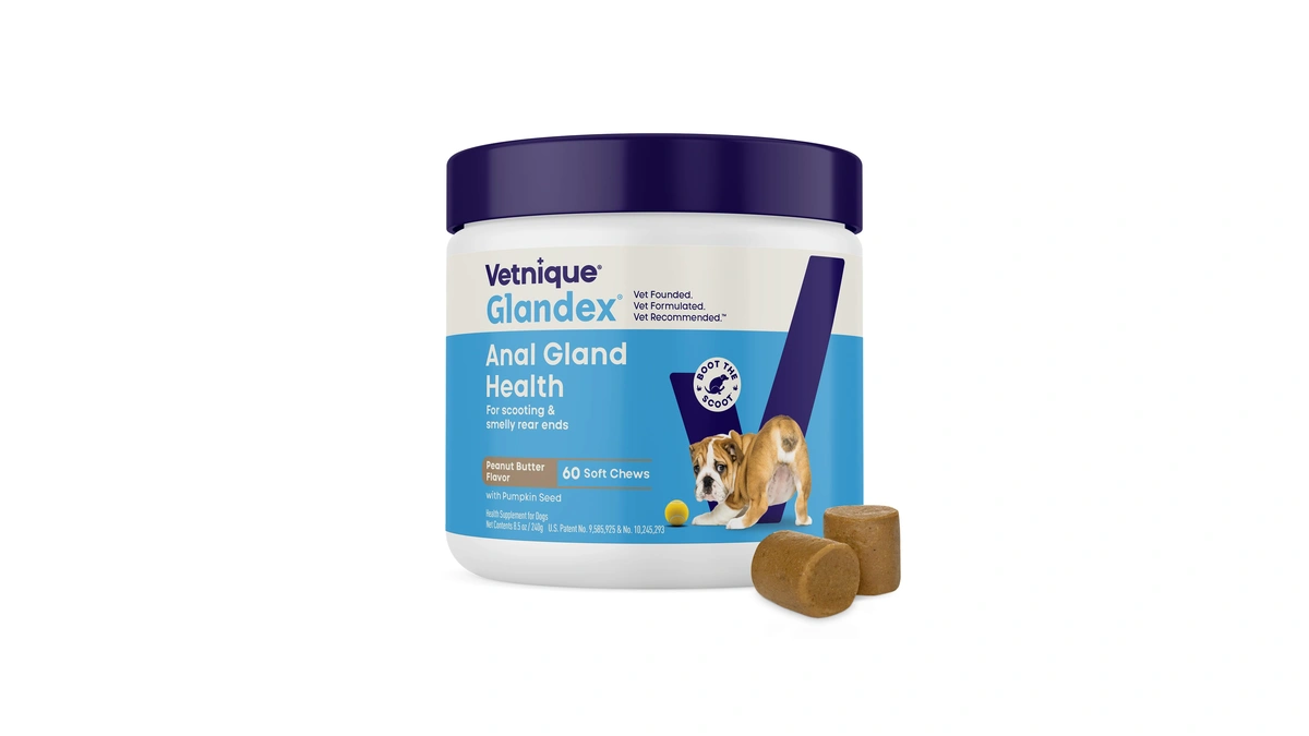 Vetnique Glandex For Dogs Anal Gland Chews 60ct Pumpkin +