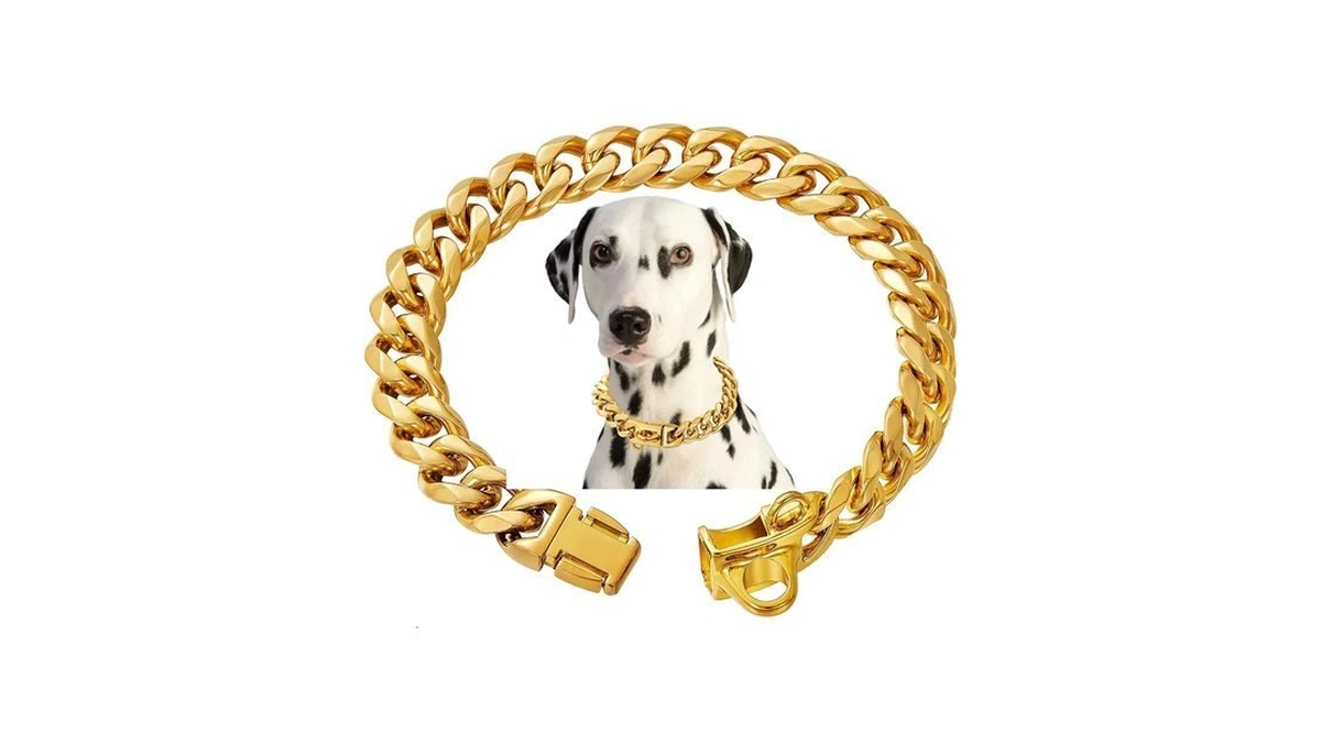 Stainless Steel 18k Gold Dog Collar With Secure Locking Buckle