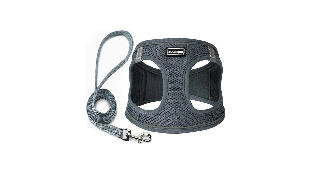 Dog Harness With Leash Set, Step-in Adjustable Puppy Pet Vest,