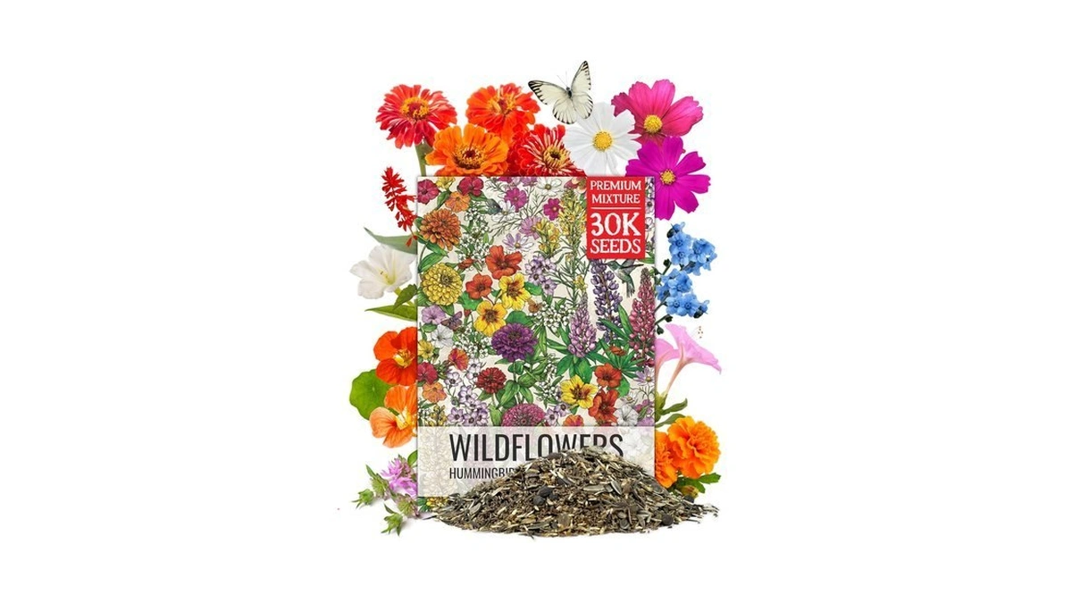 Seed Needs Wildflower Seeds Butterfly And Hummingbird Mix 2 Ounce
