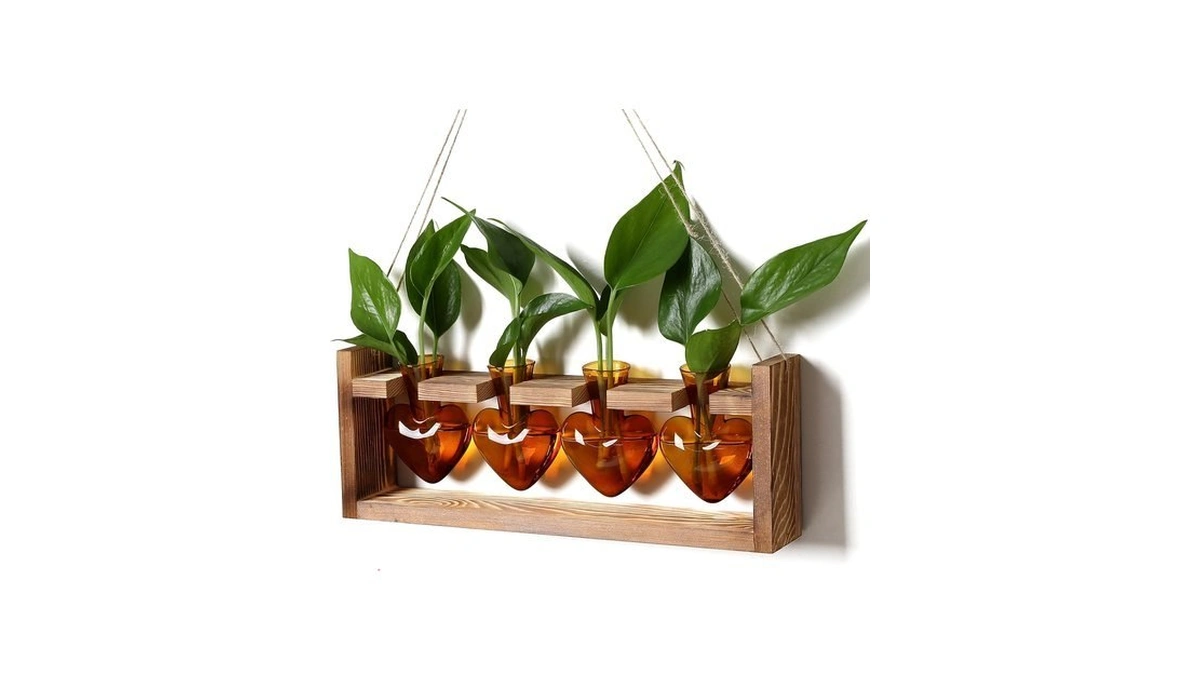 Cyzglass Plant Propagation Stations Heart Plant Terrarium Kit