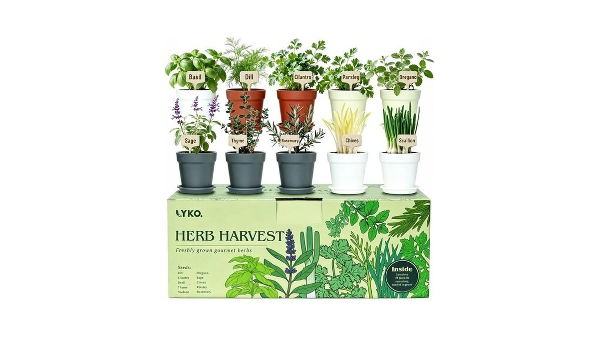 10 Indoor Herb Garden Kit, 33-piece Complete Kitchen Herb Starter