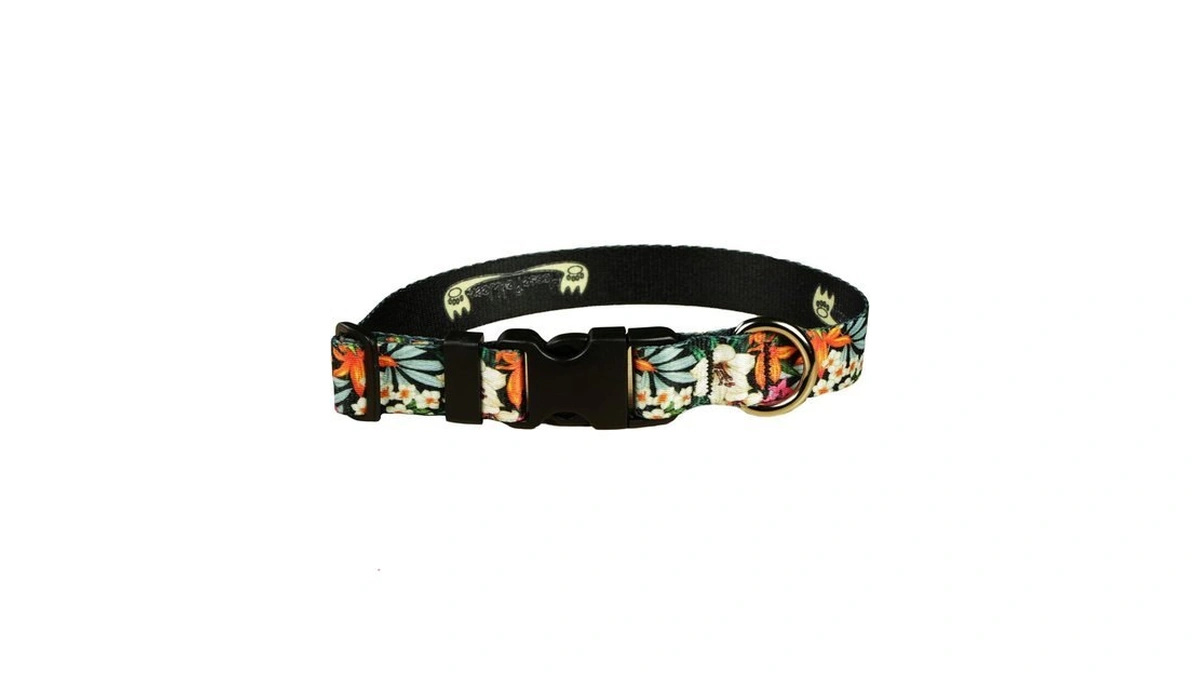 Floral Print Dog Collar -waterproof Cute Floral Female Dog Collar