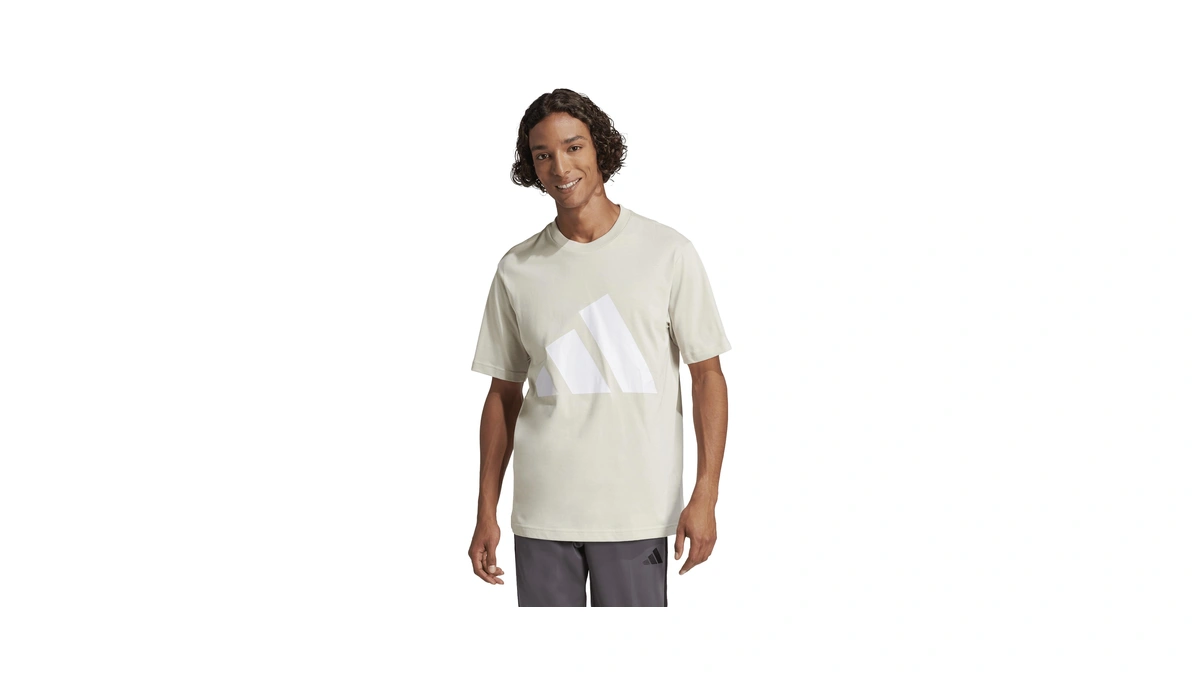 Adidas Men's Essentials Big Logo T-shirt, Wonder Alumina/white, X-large