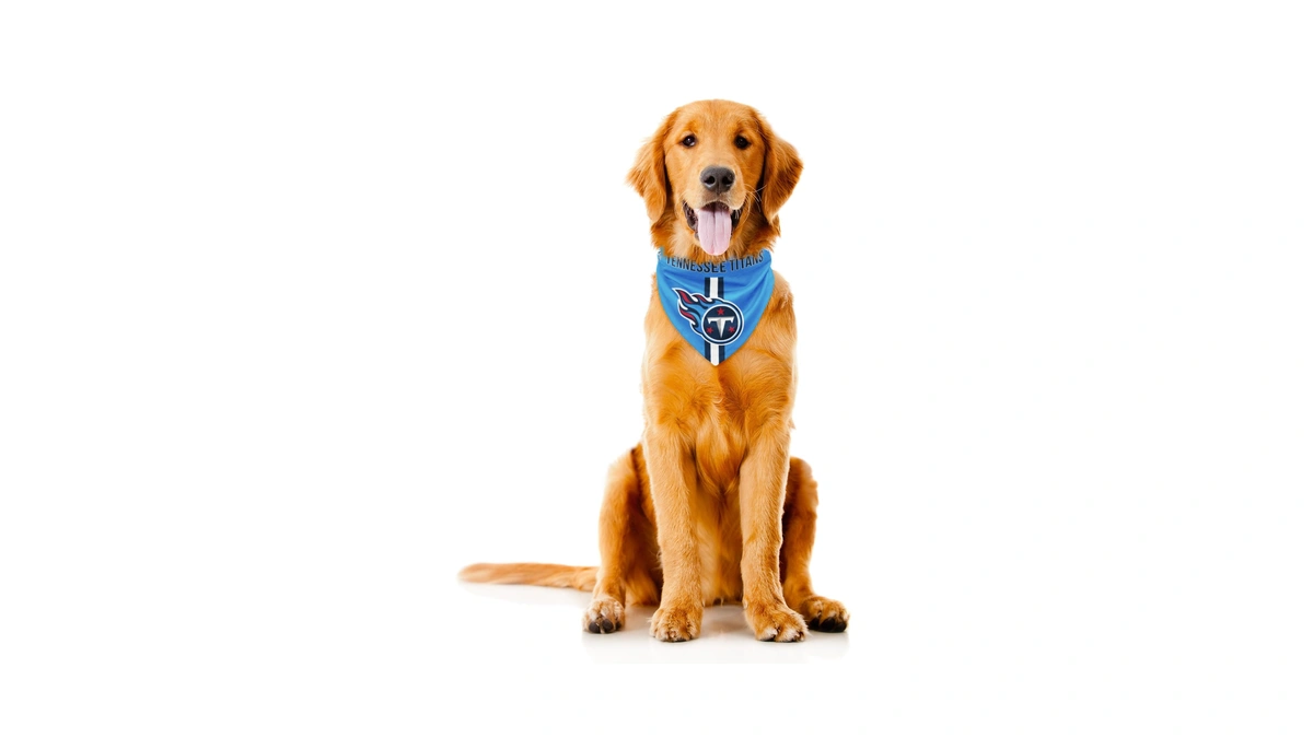 Littlearth Nfl Tennessee Titans Reversible Pet Bandana, Medium