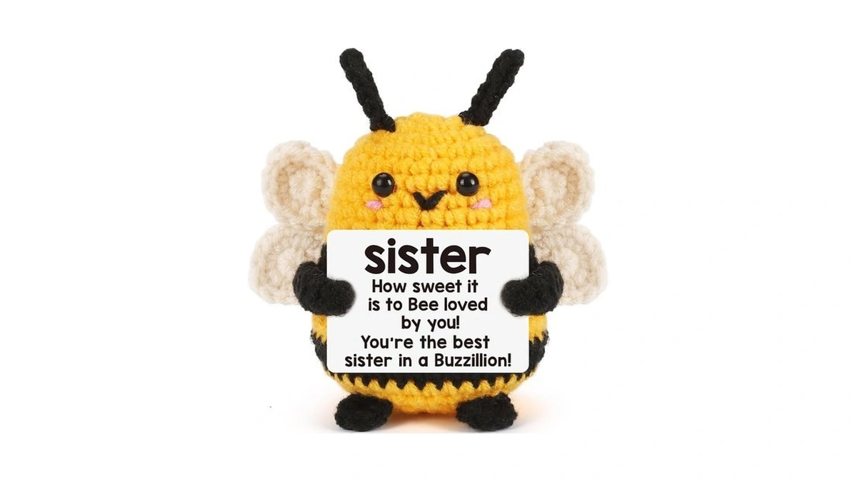 Bee Positive Sister Birthday Gifts, Christmas Sis Gift From Brother/sister