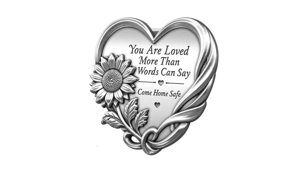 Anwlki Heart-shaped Visor Clip, Car Visor Clips Medal Driving Safety