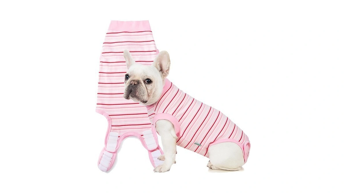 Sebdtico Recovery Suit For Dogs,dog Surgery Suit Female Spay,soft Dog
