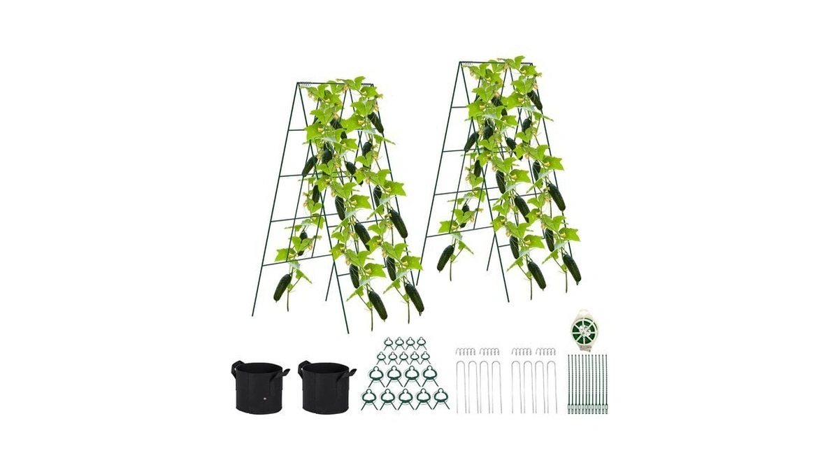 Toriexon Foldable Cucumber Trellis - 2 Pack