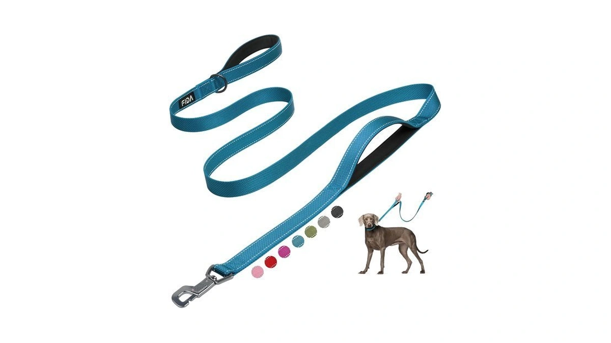 Fida Heavy Duty Dog Leash For Medium Large Dogs, 6