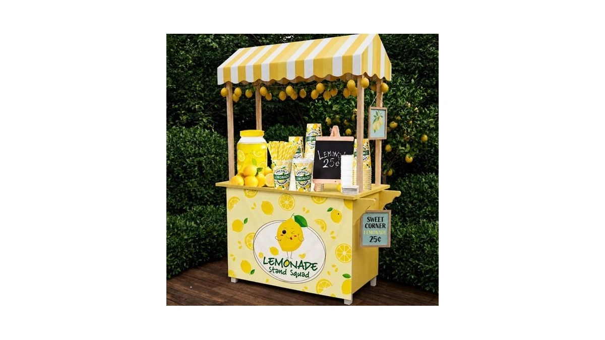 Bokon 303 Pcs Lemonade Stand Supplies Lemon Cups Tablecloth Pitcher,vivid
