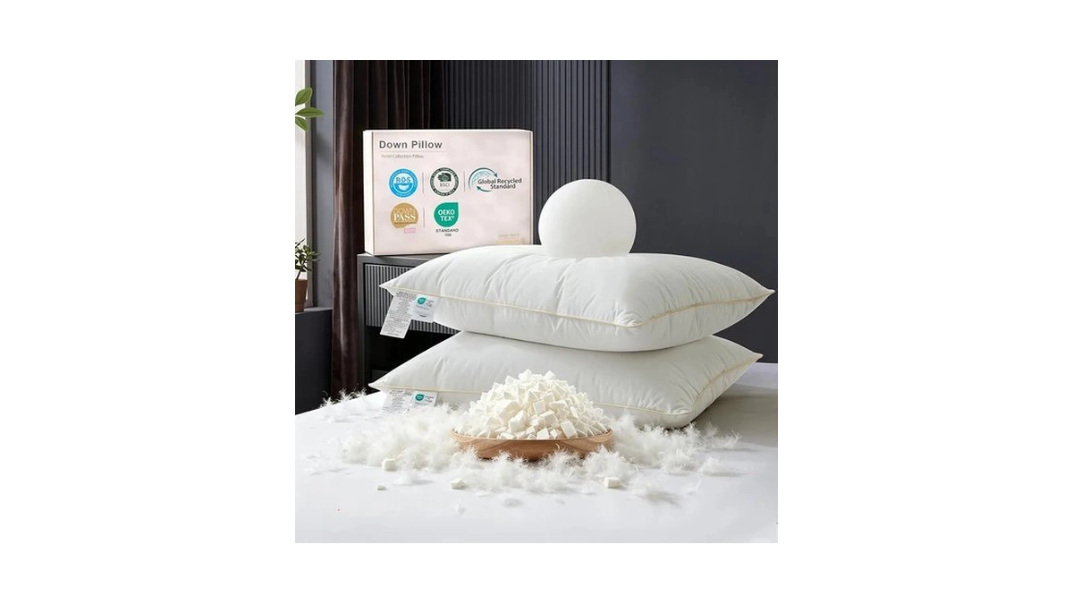 Farina Goose Feather Down Pillows, 600t Cotton Cover, Queen Size